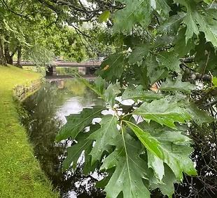 Parterapi och familjeterapi